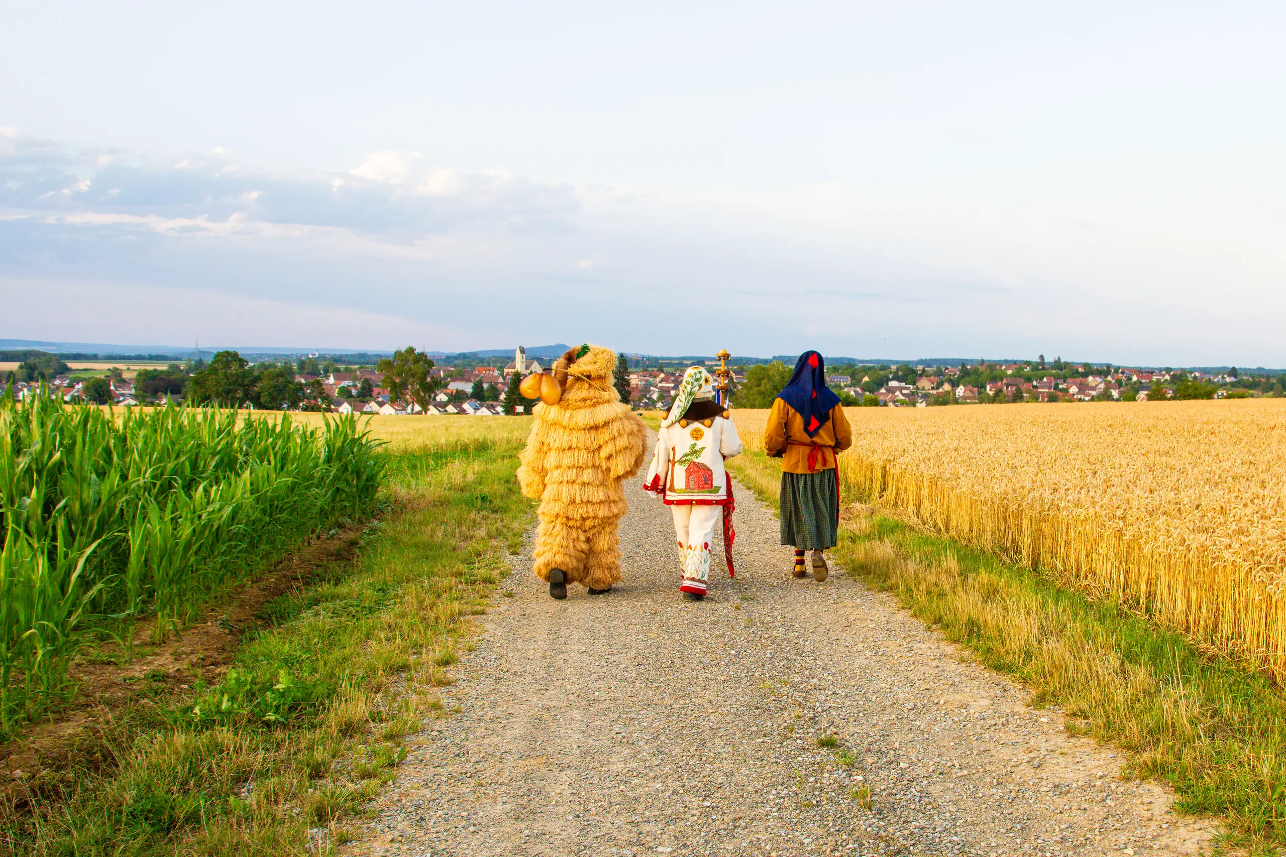 Strohbutz, Weckazwinger und Schrättele laufen auf einem Feldweg zwischen Mais- und Weizenfeld auf Herbertingen zu